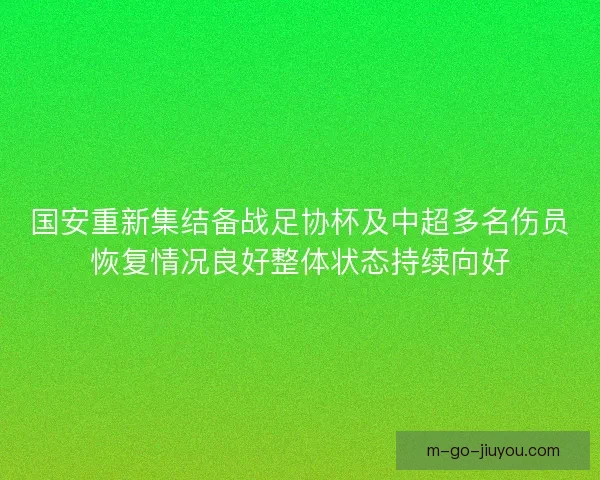 国安重新集结备战足协杯及中超多名伤员恢复情况良好整体状态持续向好
